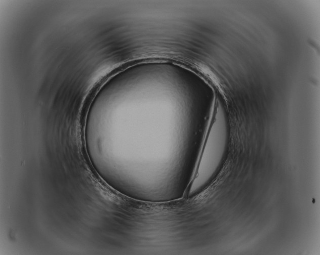 X0000091491072200709131826