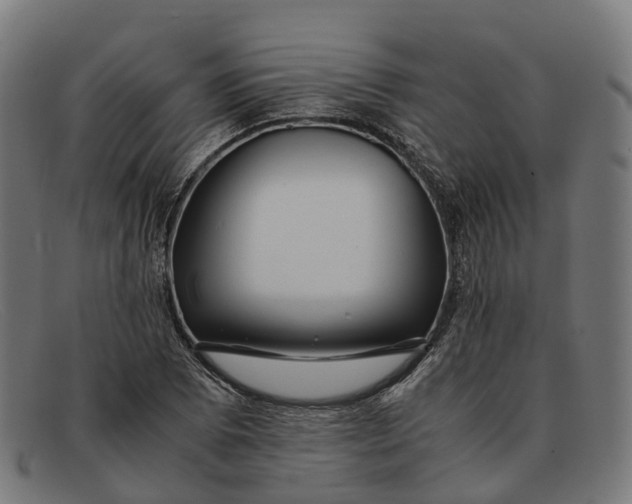 X0000091491073200709131826