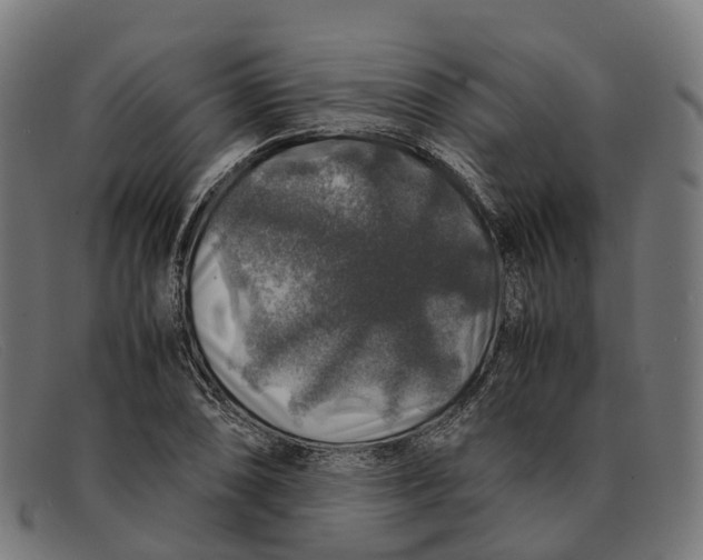 X0000091491074200709131826