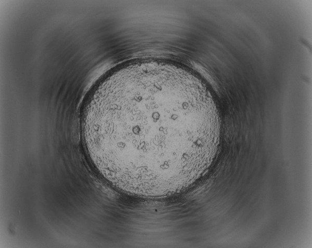 X0000091491075200709131826