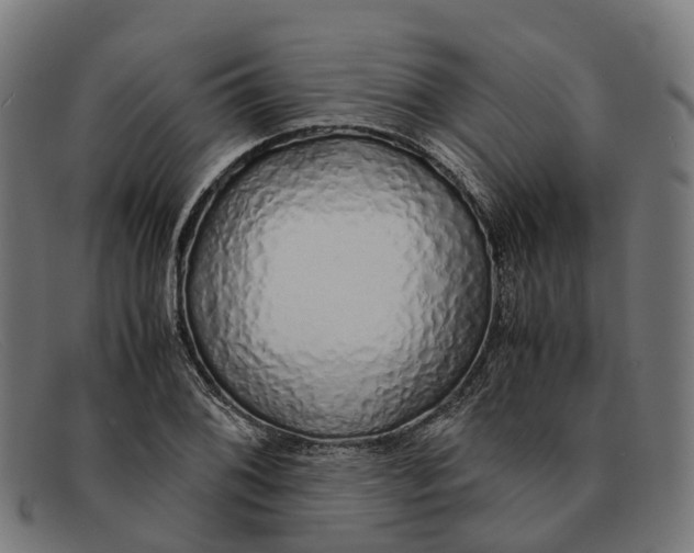 X0000091491076200709131826