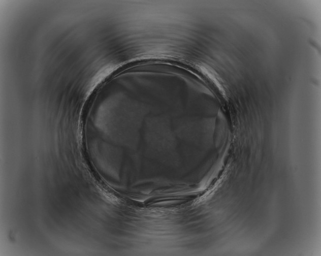 X0000091491077200709131826