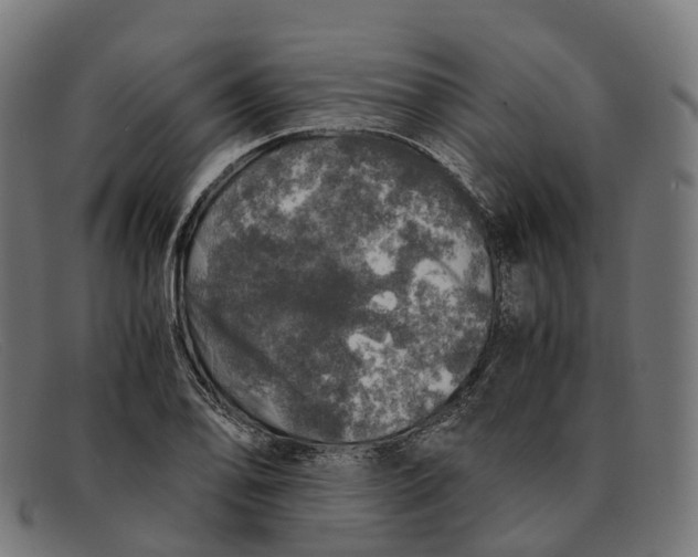 X0000091491078200709131826