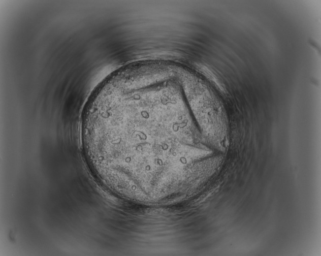 X0000091491079200709131826
