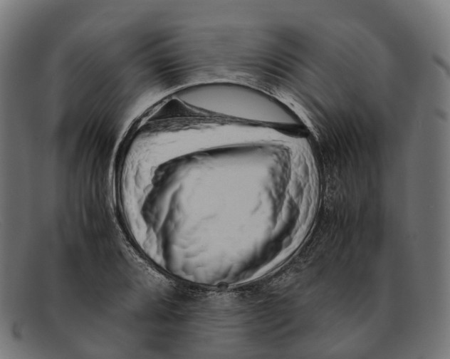 X0000091491080200709131826