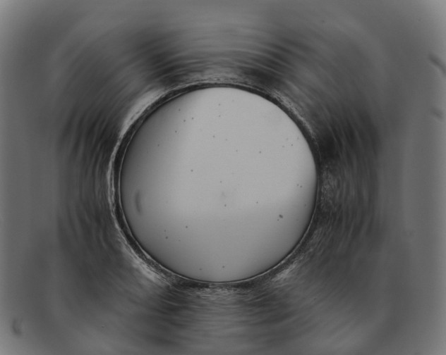X0000091491082200709131826
