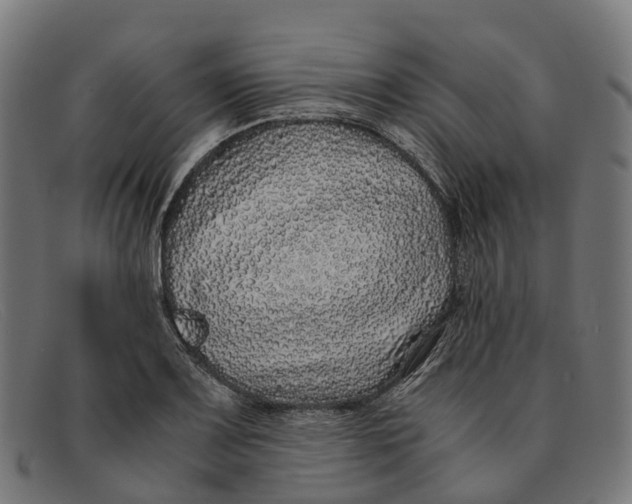 X0000091491083200709131826