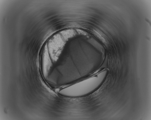 X0000091491084200709131826