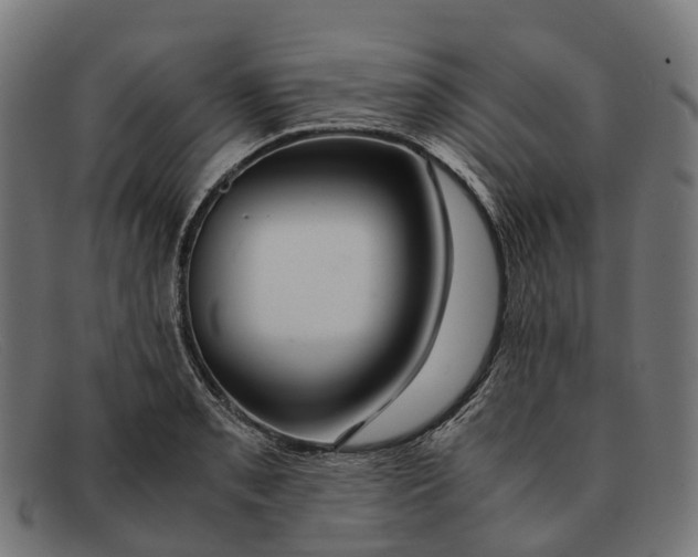 X0000091491085200709131826