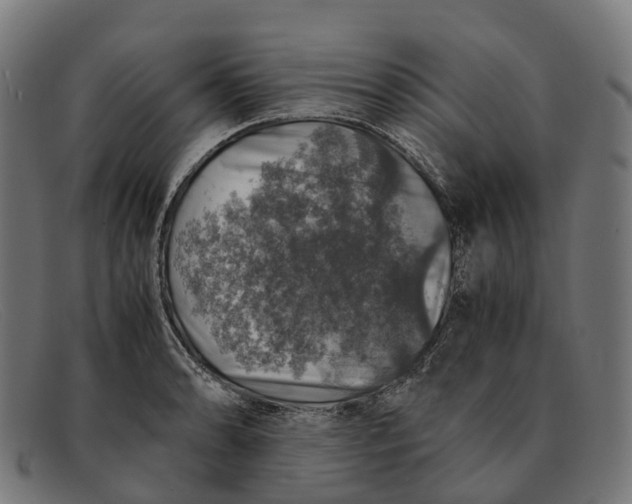 X0000091491086200709131826
