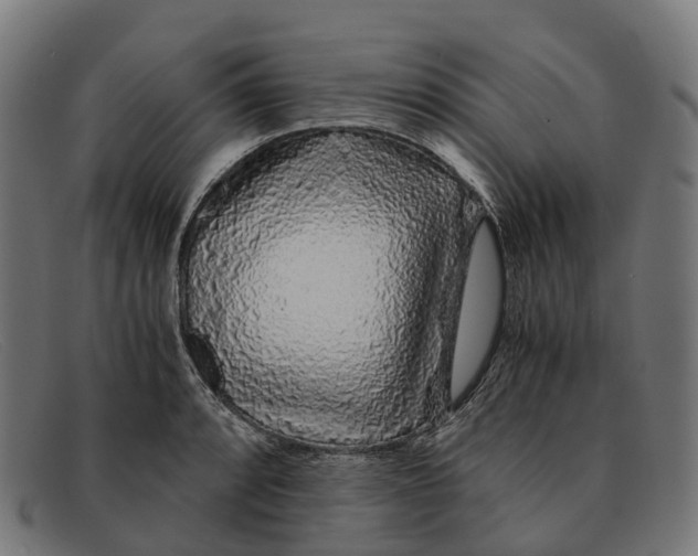 X0000091491088200709131826