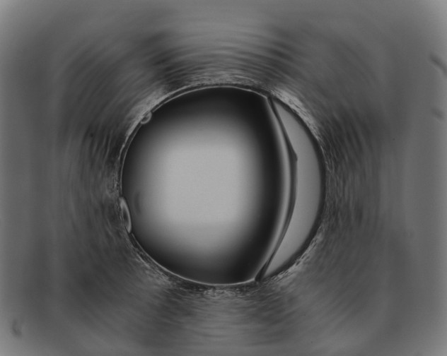 X0000091491089200709131826