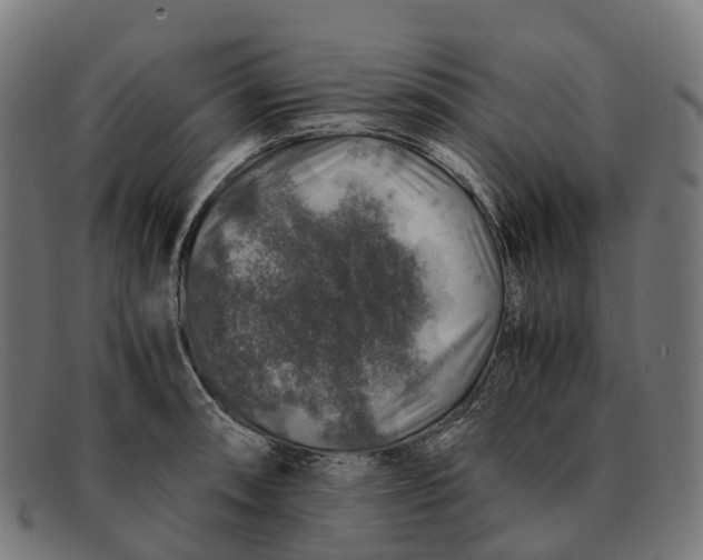 X0000091491090200709131826