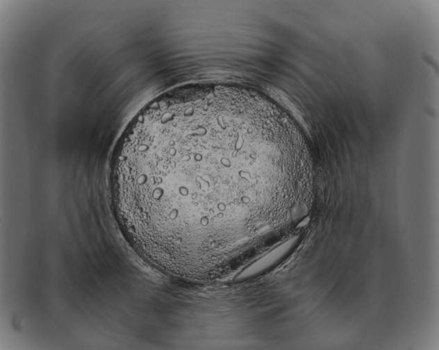 X0000091491091200709131826