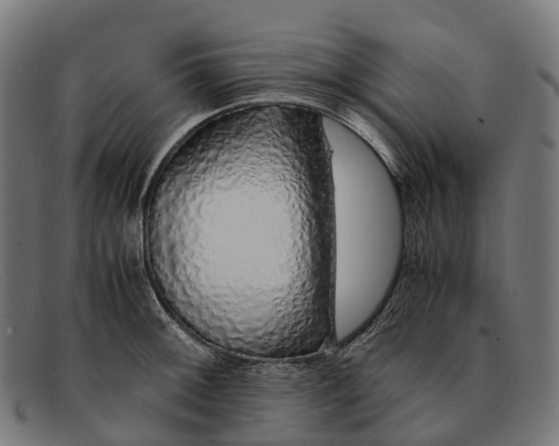 X0000091491092200709131826