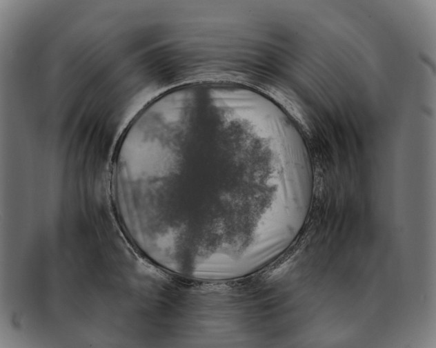 X0000091491094200709131826