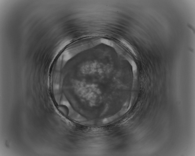 X0000091491095200709131826