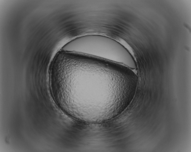 X0000091491096200709131826