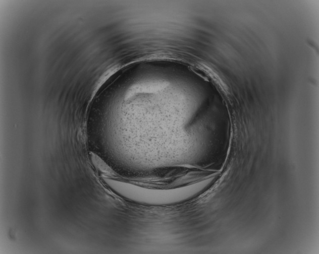 X0000091491097200709131826
