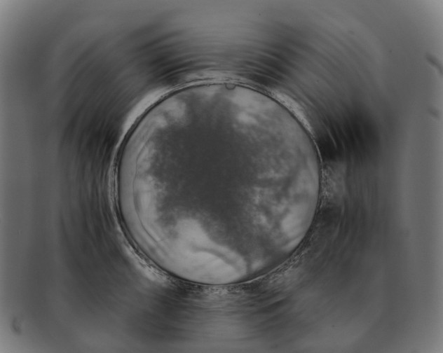 X0000091491098200709131826