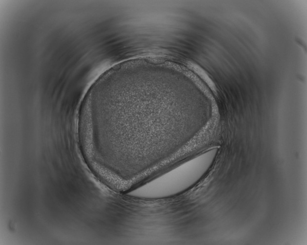 X0000091491099200709131826