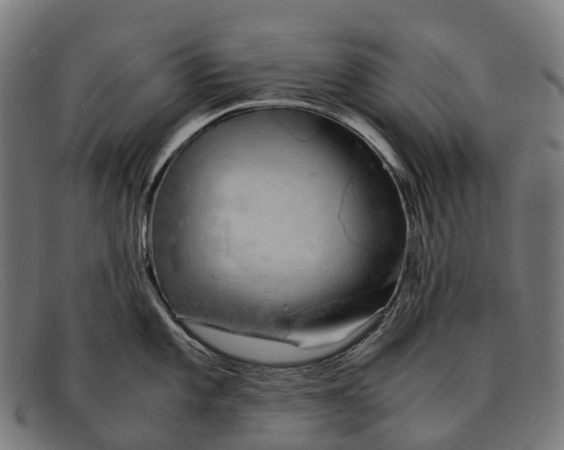 X0000091491101200709131826