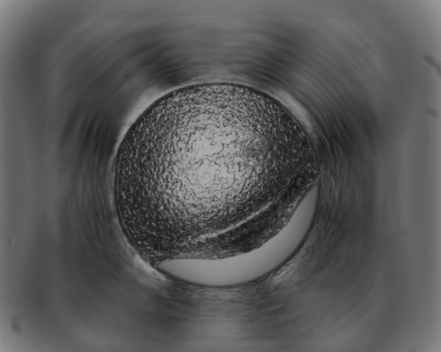 X0000091491102200709131826
