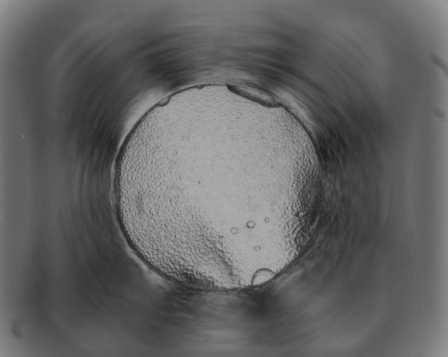 X0000091491103200709131826