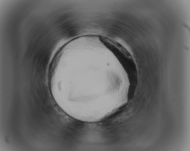 X0000091491104200709131826