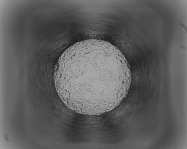 X0000091491105200709131825