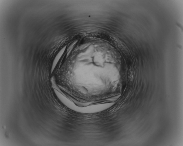 X0000091491108200709131825