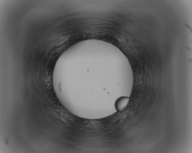 X0000091491109200709131825