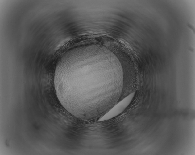X0000091491110200709131825