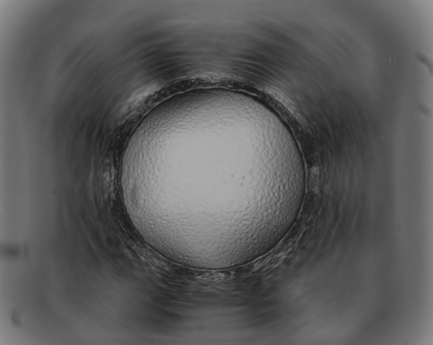X0000091491111200709131825
