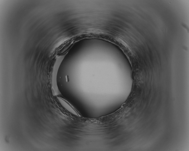 X0000091491112200709131825