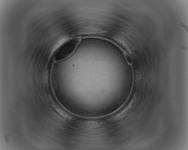 X0000091491114200709131825