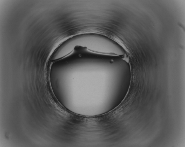 X0000091491116200709131825