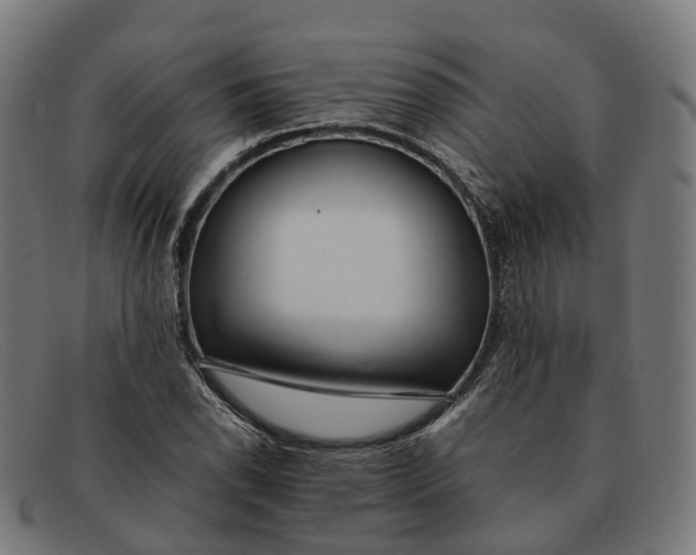 X0000091491118200709131825