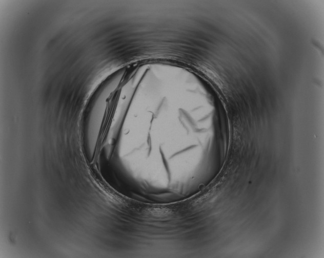 X0000091491119200709131825