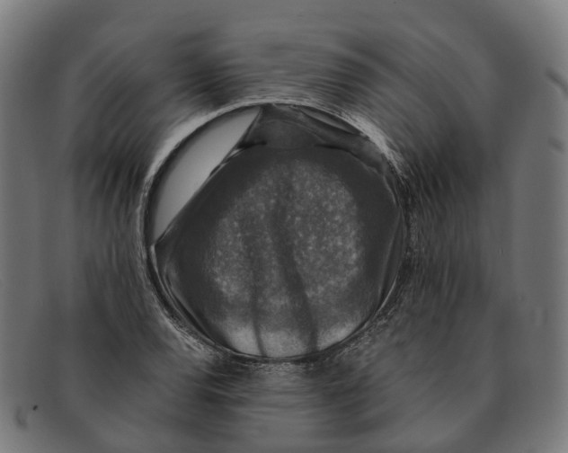 X0000091491120200709131825