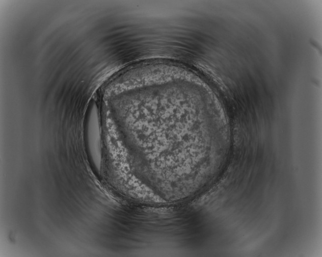 X0000091491121200709131825