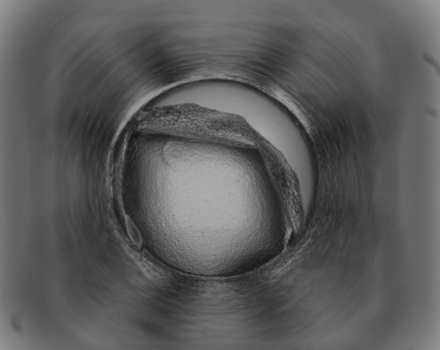 X0000091491124200709131825