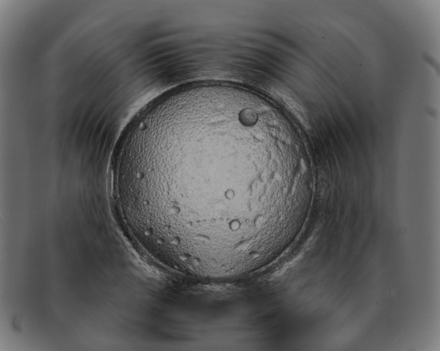 X0000091491125200709131825