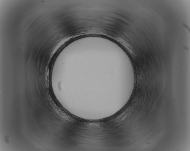 X0000091491126200709131825