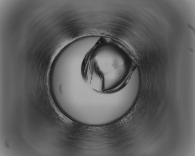 X0000091491128200709131825