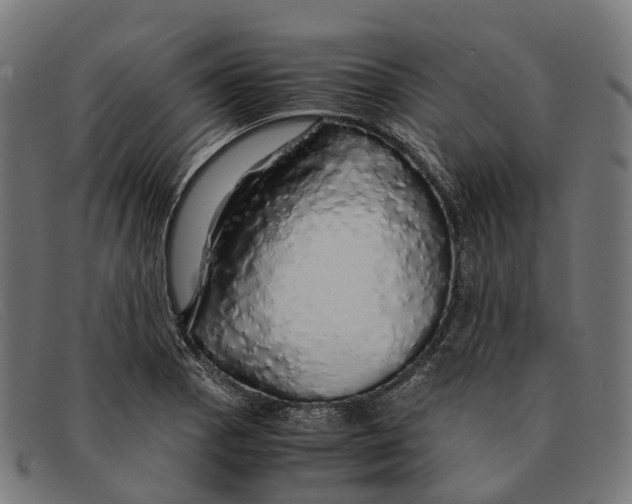 X0000091491129200709131825