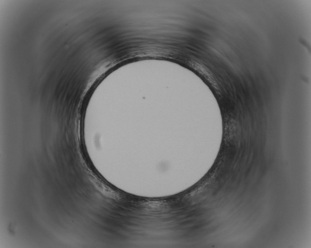 X0000091491130200709131825