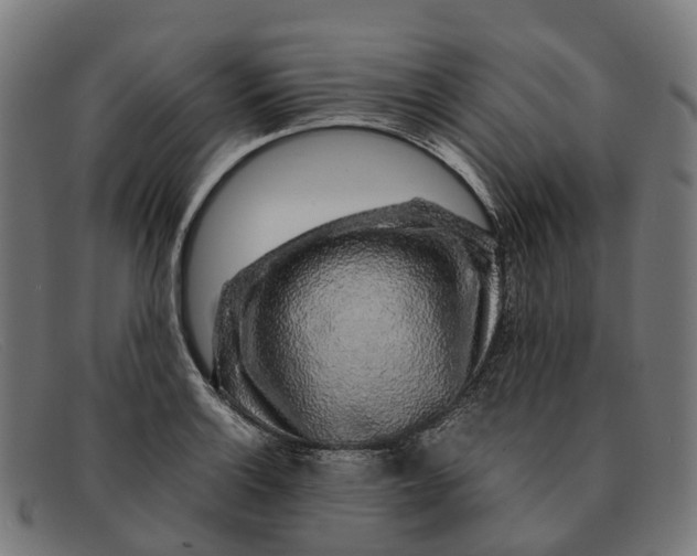 X0000091491132200709131825