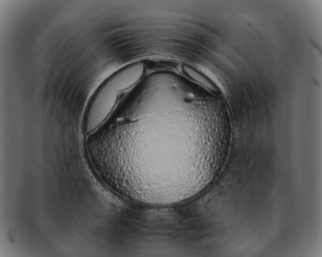 X0000091491133200709131825
