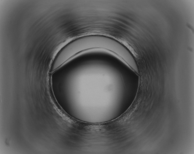 X0000091491134200709131825